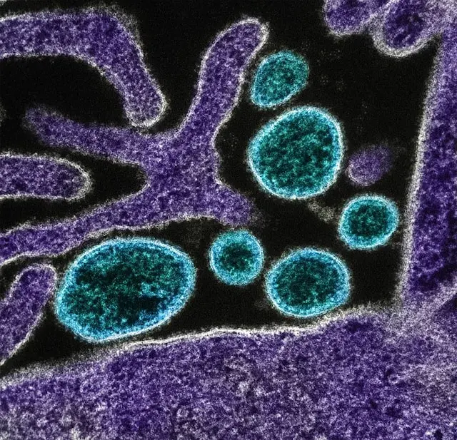 A summary of a recently completed 2-year project titled ''CDC-MEXICO cooperative agreement for 'Surveillance, Epidemiology, and Laboratory Capacity/Antimicrobial Resistance','' where I was Lead AI and Systems Engineer. We successfully developed an information system for the control of antimicrobial resistance (AMR) at the primary level of care in Mexico. Furthermore, we also successfully established a new laboratory infrastructure. Consequently, our work enabled clinicians to receive standardized treatment recommendations, leverage laboratory-confirmed diagnoses, and access real-time surveillance data.
