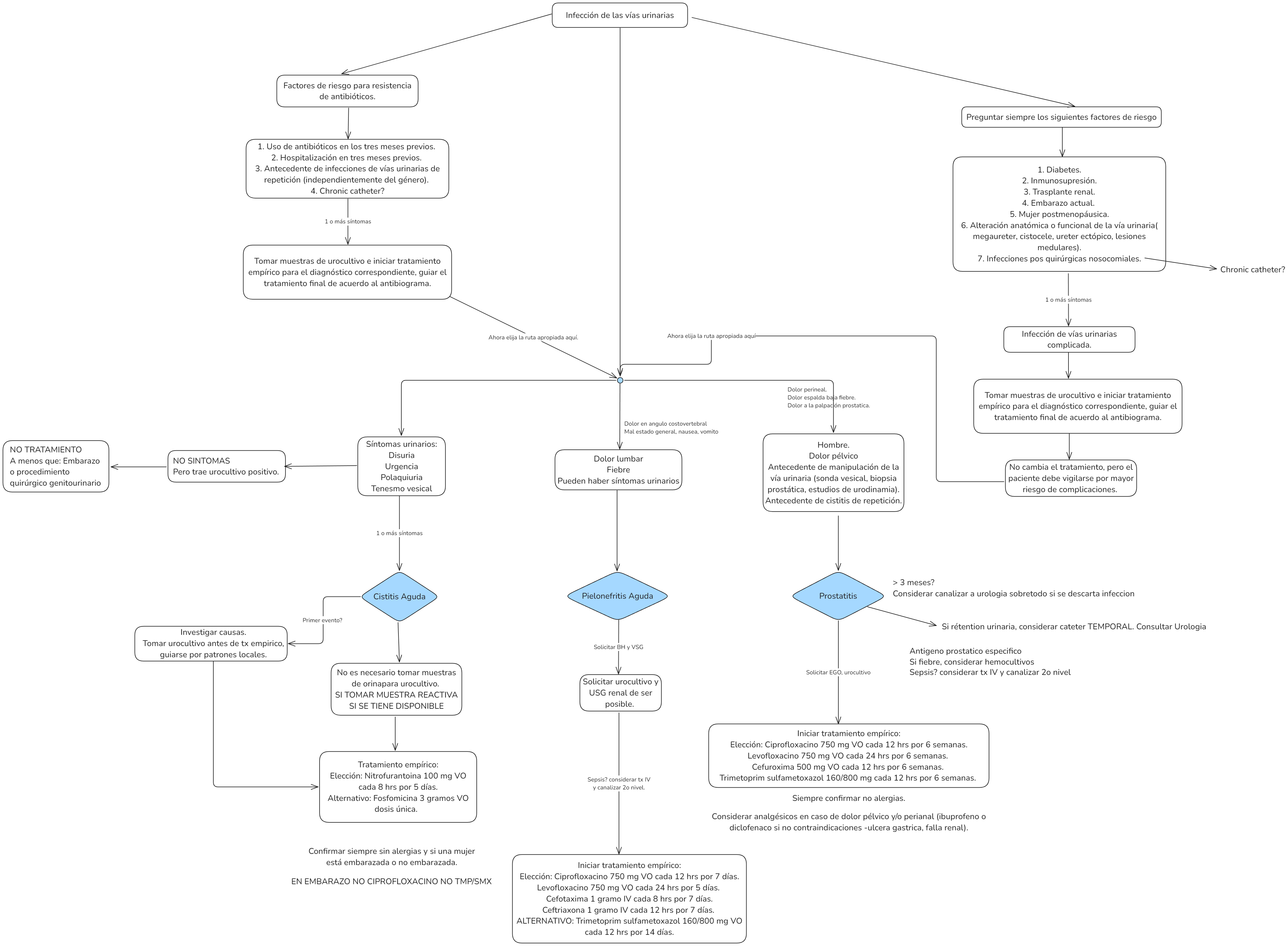 Urinary Tract Infection (UTI) medical decision algorithm.